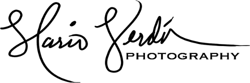 Verdin Photo Logo.